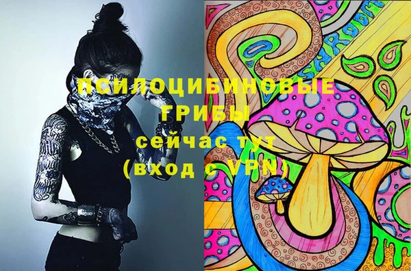 прущие крисы Новодвинск