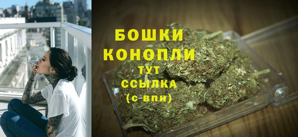 apvp Новозыбков