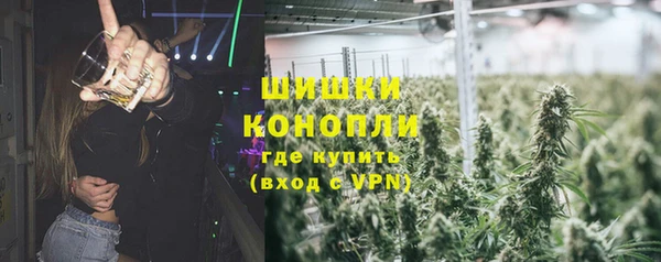 прущие крисы Новодвинск
