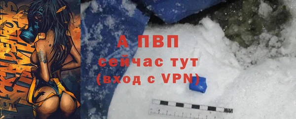 прущие крисы Новодвинск