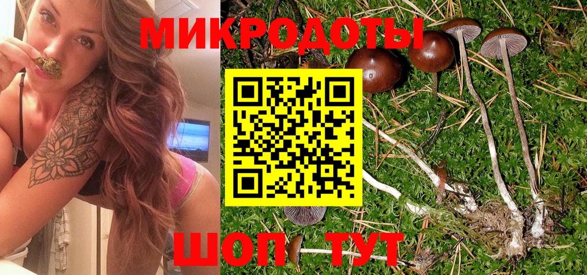 Галлюциногенные грибы Psilocybe  Галлюциногенные грибы MAGIC MUSHROOMS  Кызыл  где купить наркоту  Вход с VPN 