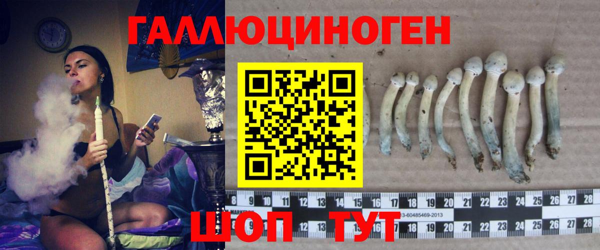 Псилоцибиновые грибы прущие грибы Кызыл